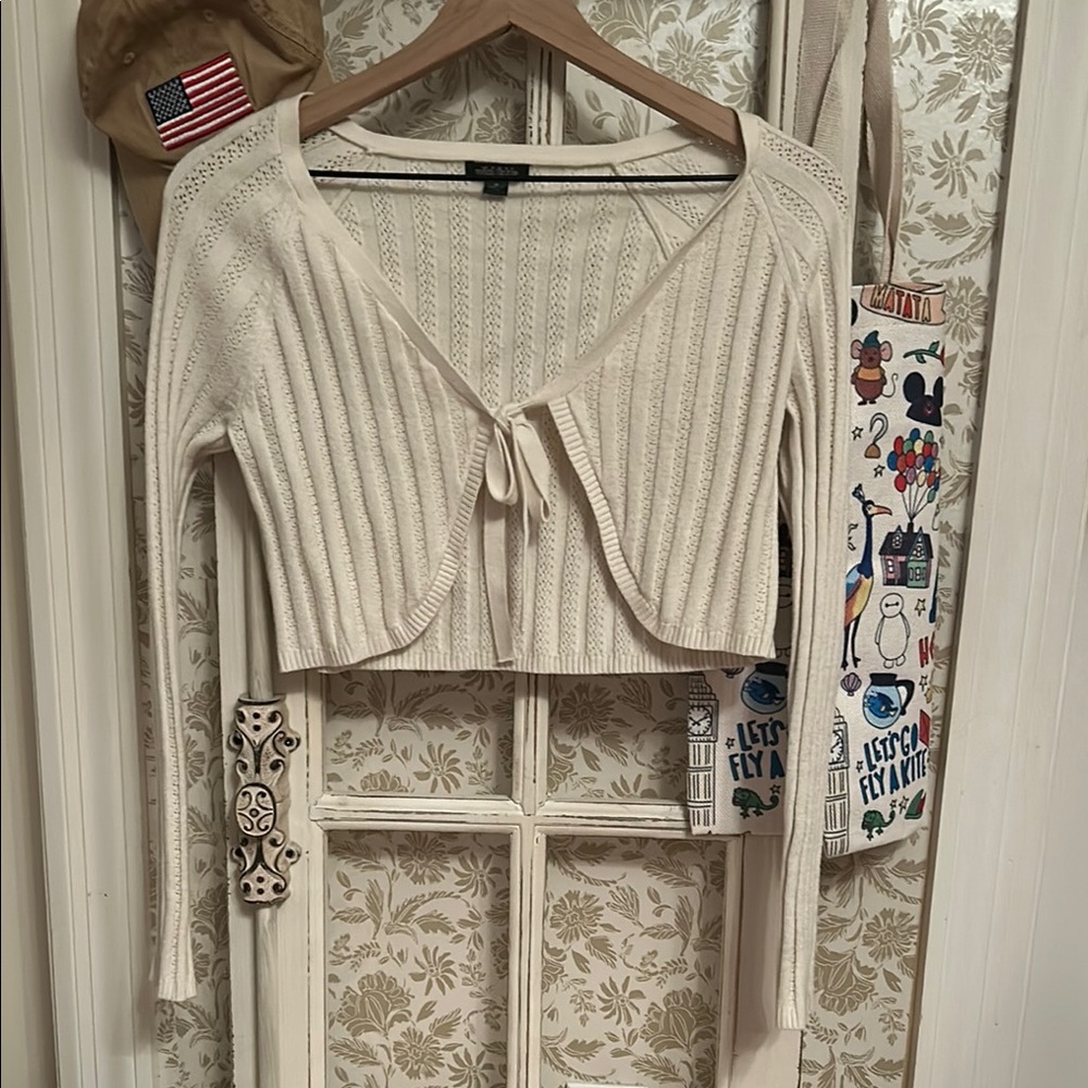 EUC wild fable size M cream crop sweater